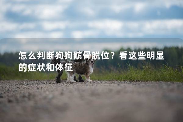 怎么判断狗狗髌骨脱位？看这些明显的症状和体征