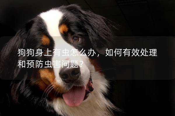 狗狗身上有虫怎么办，如何有效处理和预防虫害问题？