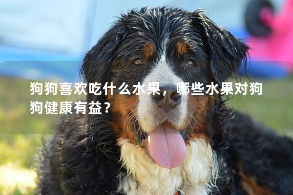 狗狗喜欢吃什么水果，哪些水果对狗狗健康有益？