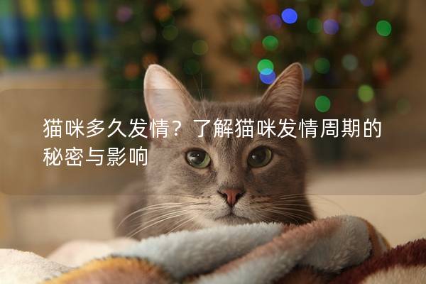 猫咪多久发情？了解猫咪发情周期的秘密与影响