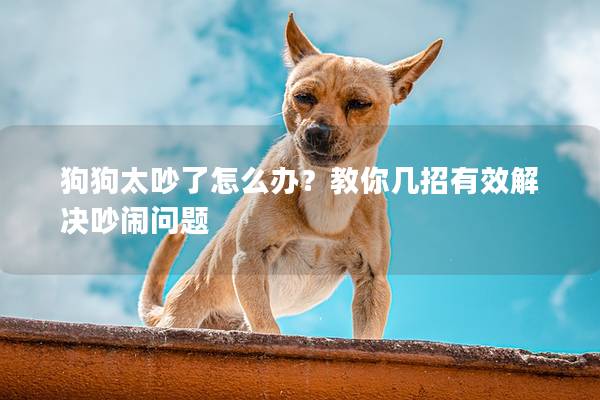 狗狗太吵了怎么办？教你几招有效解决吵闹问题