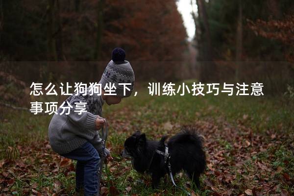 怎么让狗狗坐下，训练小技巧与注意事项分享