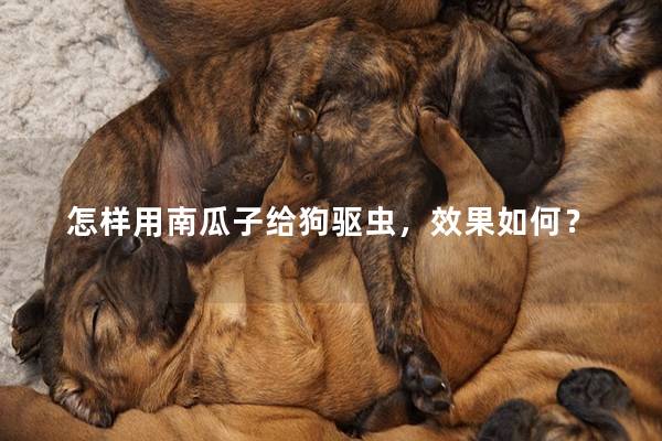 怎样用南瓜子给<a href=