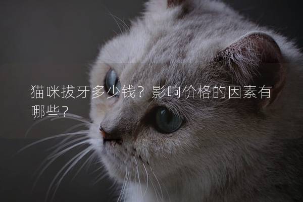 猫咪拔牙多少钱？影响价格的因素有哪些？