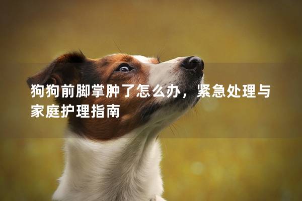狗狗前脚掌肿了怎么办，紧急处理与家庭护理指南