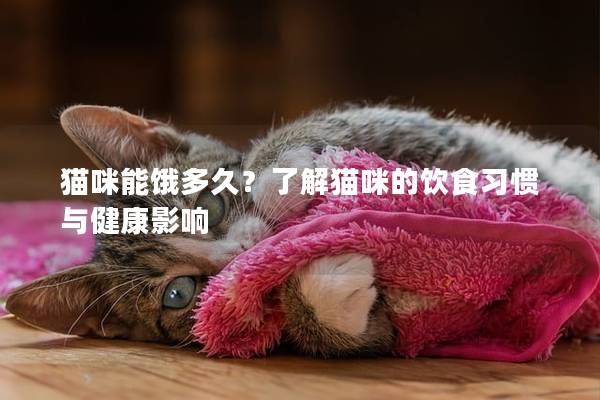 猫咪能饿多久？了解猫咪的饮食习惯与健康影响