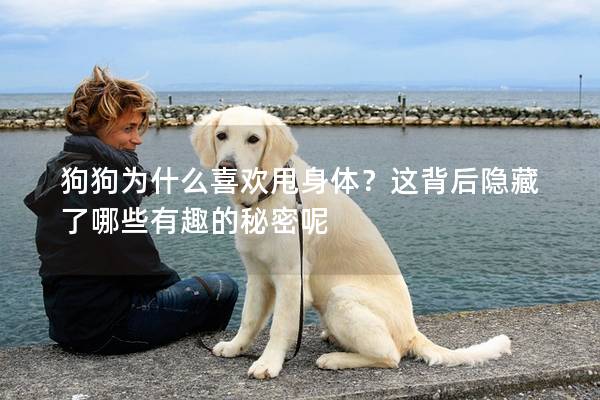 狗狗为什么喜欢甩身体？这背后隐藏了哪些有趣的秘密呢