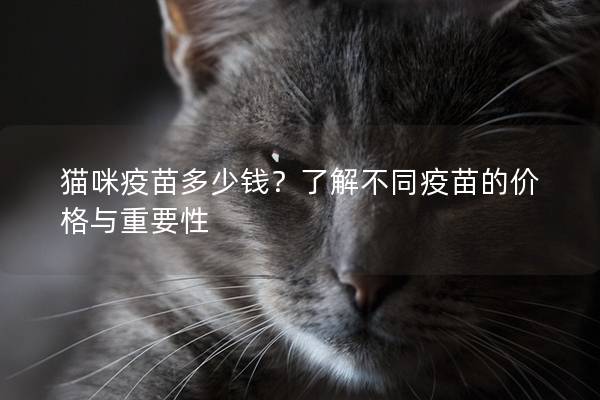 猫咪疫苗多少钱？了解不同疫苗的价格与重要性