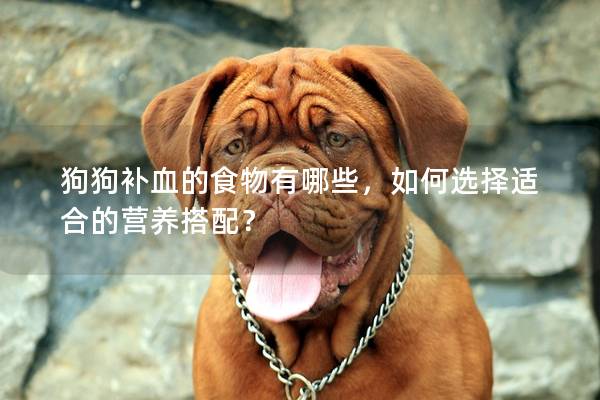 狗狗补血的食物有哪些，如何选择适合的营养搭配？