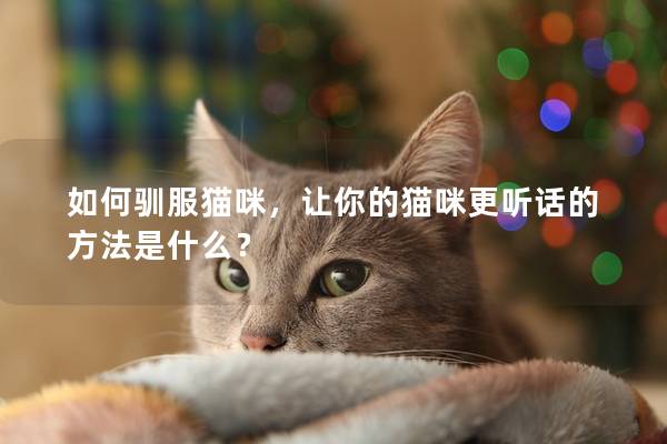 如何驯服猫咪，让你的猫咪更听话的方法是什么？