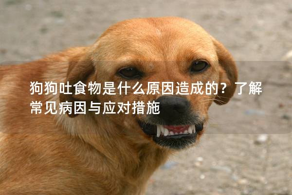 狗狗吐食物是什么原因造成的？了解常见病因与应对措施