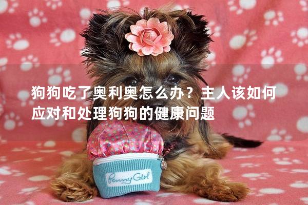 狗狗吃了奥利奥怎么办？主人该如何应对和处理狗狗的健康问题