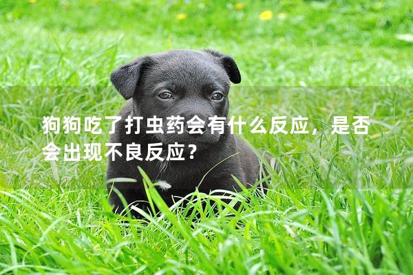 狗狗吃了打虫药会有什么反应，是否会出现不良反应？