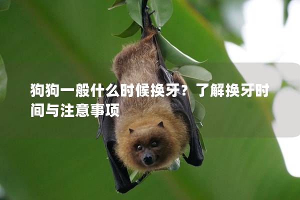 狗狗一般什么时候换牙？了解换牙时间与注意事项