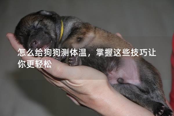 怎么给狗狗测体温，掌握这些技巧让你更轻松