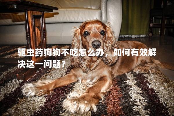 驱虫药狗狗不吃怎么办，如何有效解决这一问题？