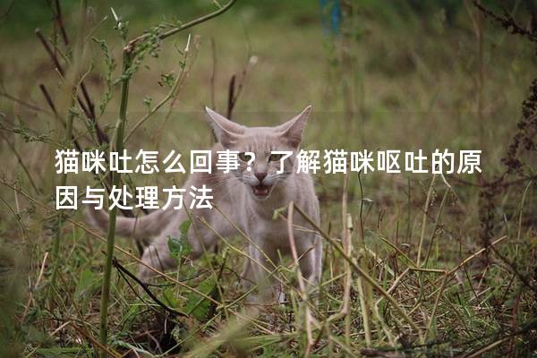 猫咪吐怎么回事？了解猫咪呕吐的原因与处理方法