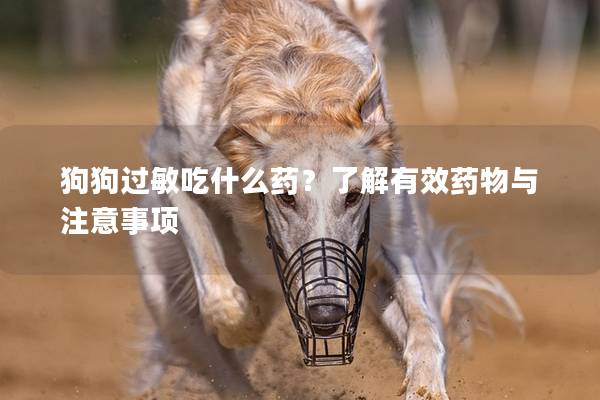 狗狗过敏吃什么药？了解有效药物与注意事项