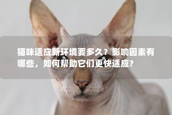 猫咪适应新环境要多久？影响因素有哪些，如何帮助它们更快适应？