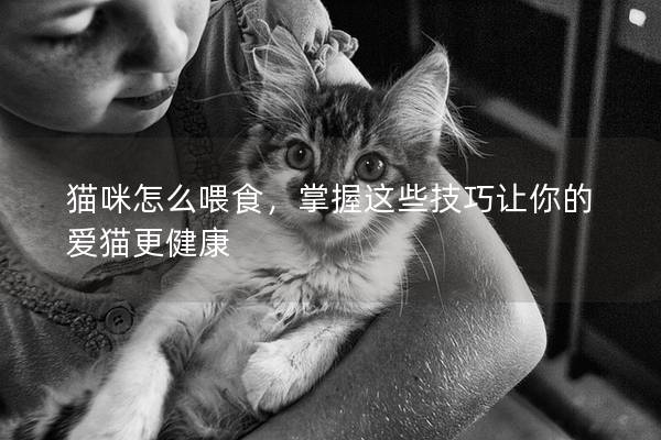 猫咪怎么喂食，掌握这些技巧让你的爱猫更健康