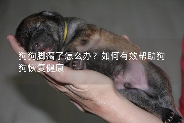 狗狗脚瘸了怎么办？如何有效帮助狗狗恢复健康