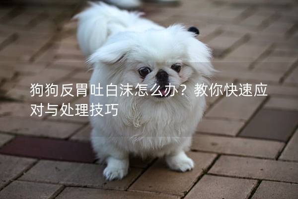 狗狗反胃吐白沫怎么办？教你快速应对与处理技巧