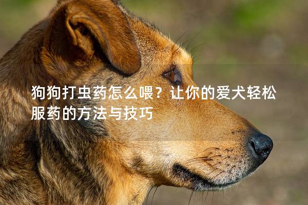 狗狗打虫药怎么喂？让你的爱犬轻松服药的方法与技巧