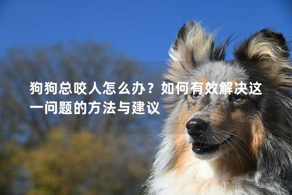 狗狗总咬人怎么办？如何有效解决这一问题的方法与建议