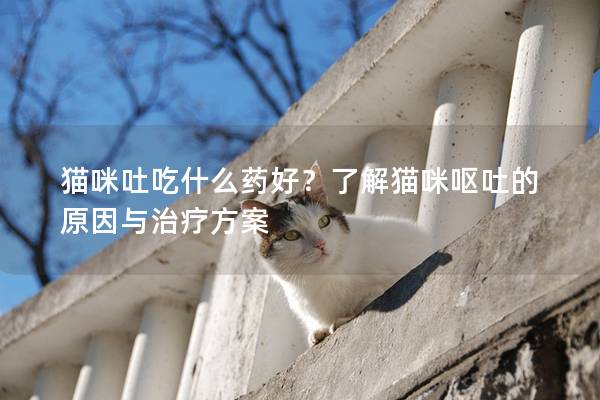 猫咪吐吃什么药好？了解猫咪呕吐的原因与治疗方案