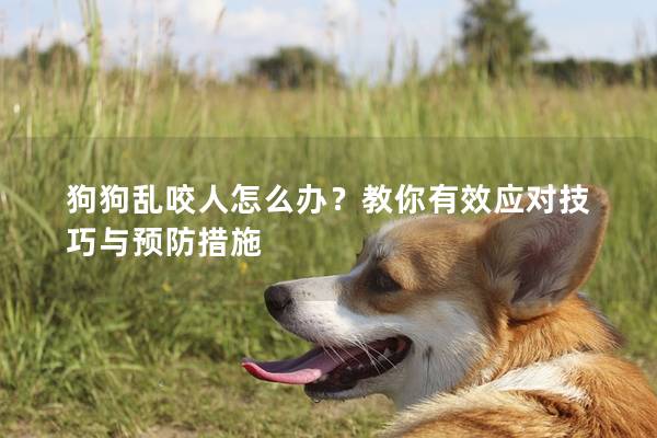 狗狗乱咬人怎么办？教你有效应对技巧与预防措施