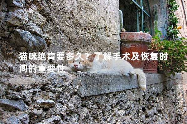猫咪绝育要多久？了解手术及恢复时间的重要性