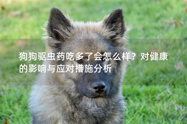 狗狗驱虫药吃多了会怎么样？对健康的影响与应对措施分析