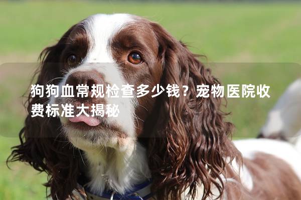 狗狗血常规检查多少钱？宠物医院收费标准大揭秘