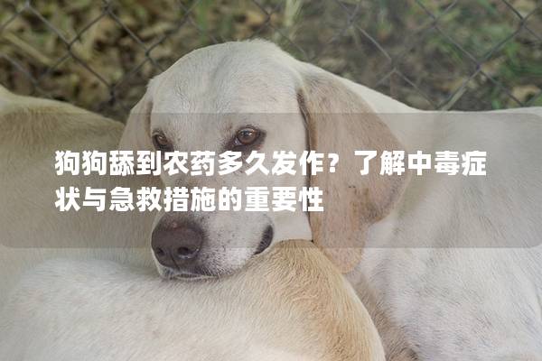 狗狗舔到农药多久发作？了解中毒症状与急救措施的重要性