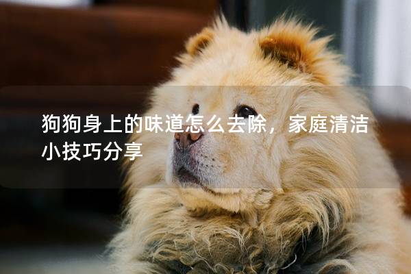 狗狗身上的味道怎么去除，家庭清洁小技巧分享