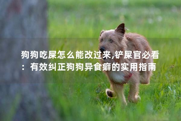 狗狗吃屎怎么能改过来,铲屎官必看：有效纠正狗狗异食癖的实用指南