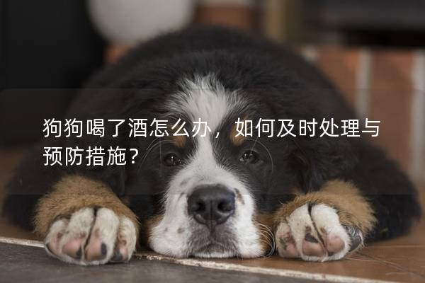 狗狗喝了酒怎么办，如何及时处理与预防措施？