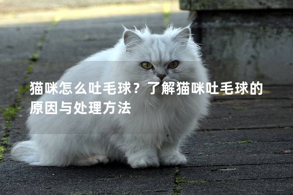 猫咪怎么吐毛球？了解猫咪吐毛球的原因与处理方法