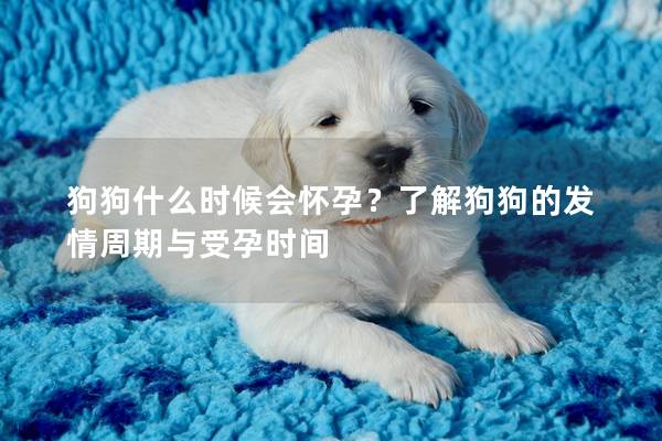 狗狗什么时候会怀孕？了解狗狗的发情周期与受孕时间