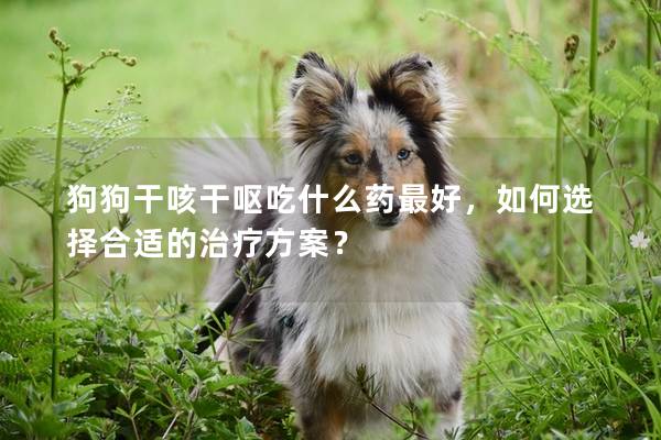狗狗干咳干呕吃什么药最好，如何选择合适的治疗方案？