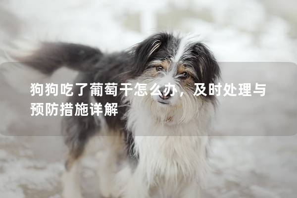 狗狗吃了葡萄干怎么办，及时处理与预防措施详解