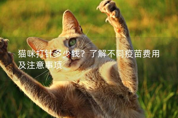 猫咪打针多少钱？了解不同疫苗费用及注意事项