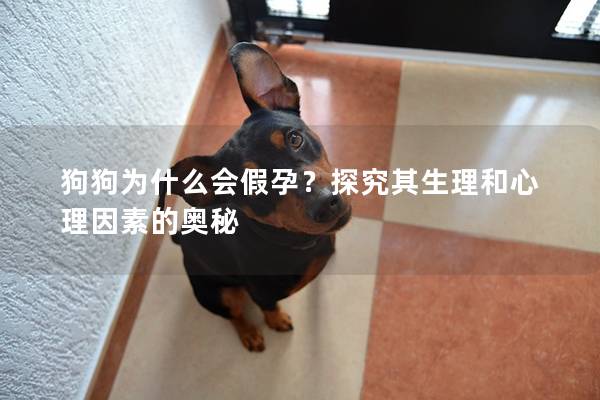 狗狗为什么会假孕？探究其生理和心理因素的奥秘