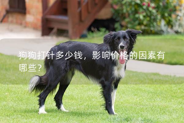 狗狗打针多少钱，影响价格的因素有哪些？