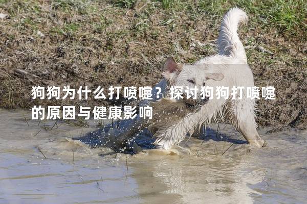 狗狗为什么打喷嚏？探讨狗狗打喷嚏的原因与健康影响
