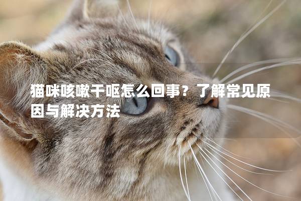 猫咪咳嗽干呕怎么回事？了解常见原因与解决方法