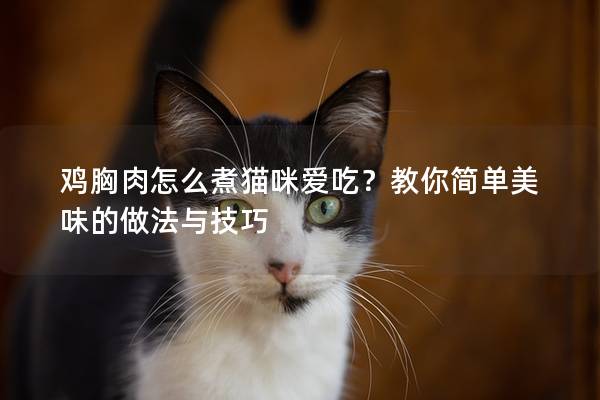 鸡胸肉怎么煮猫咪爱吃？教你简单美味的做法与技巧