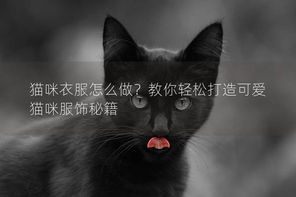 猫咪衣服怎么做？教你轻松打造可爱猫咪服饰秘籍