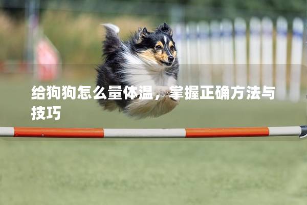 给狗狗怎么量体温，掌握正确方法与技巧