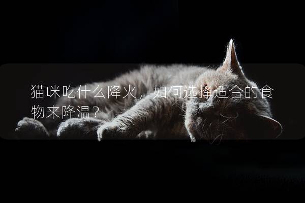 猫咪吃什么降火，如何选择适合的食物来降温？